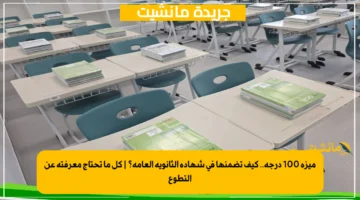 ميزة 100 درجة.. كيف تضمنها في شهادة الثانوية العامة؟ | كل ما تحتاج معرفته عن التطوع